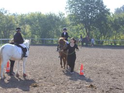 img_0226_web